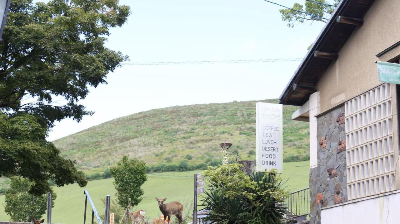 נארה Mountain Home Lodge In Deer Park מראה חיצוני תמונה