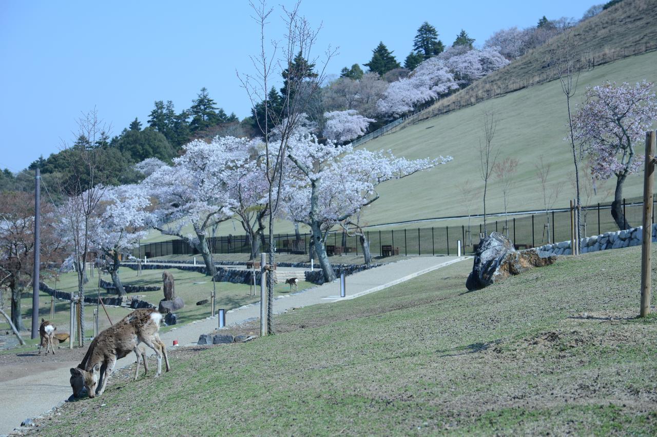 נארה Mountain Home Lodge In Deer Park מראה חיצוני תמונה