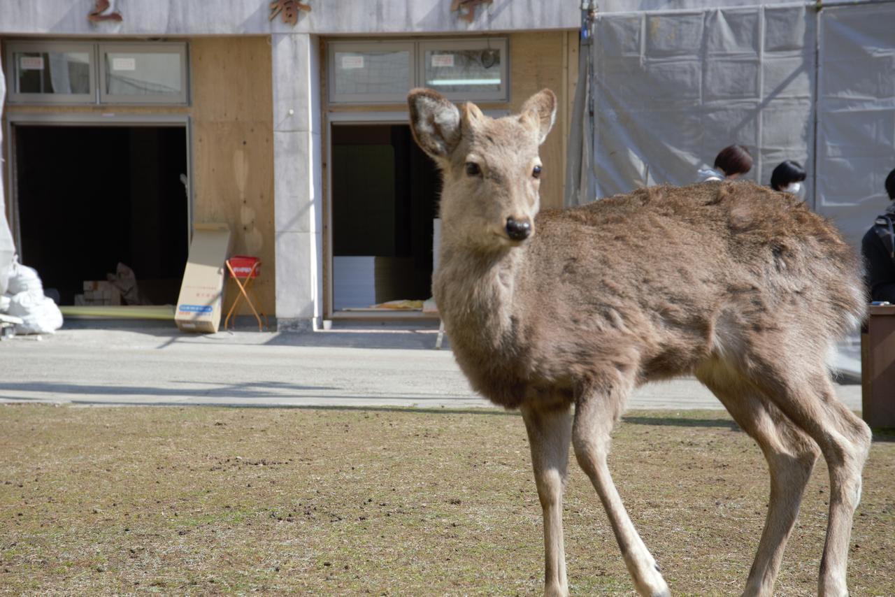 נארה Mountain Home Lodge In Deer Park מראה חיצוני תמונה